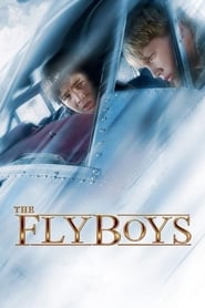 The Flyboys (Sky Kids) (2008) subtitles