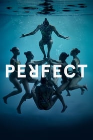 Perfect (2016) subtitles - SUBDL poster
