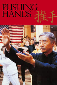 Pushing Hands (1991) subtitles