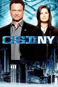 CSI: NY Spanish  subtitles - SUBDL poster