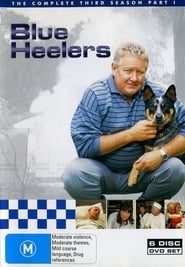 Blue Heelers