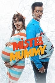 Mister Mummy English  subtitles - SUBDL poster