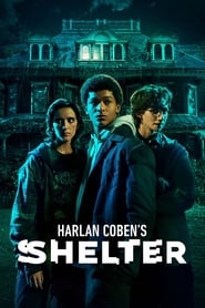 Harlan Coben's Shelter (2023) subtitles - SUBDL poster