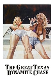 The Great Texas Dynamite Chase (1976) subtitles