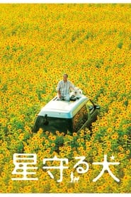 Star Watching Dog (Hoshi mamoru inu) Korean  subtitles - SUBDL poster