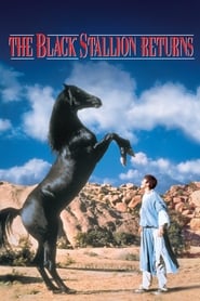 The Black Stallion Returns (1983) subtitles - SUBDL poster