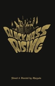 Black Mass Rising (2011) subtitles - SUBDL poster