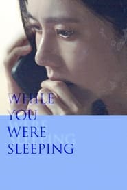 While You Were Sleeping (2024) subtitles