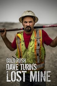 Gold Rush: Dave Turin's Lost Mine Danish  subtitles - SUBDL poster