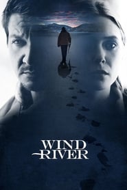 Wind River (2017) subtitles - SUBDL poster