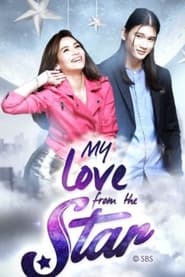 My Love From The Star French  subtitles - SUBDL poster