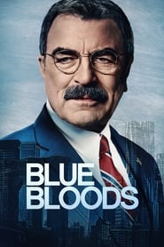 Blue Bloods (2010) subtitles - SUBDL poster