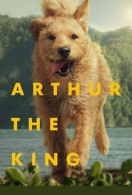 Arthur the King (2024) subtitles - SUBDL poster