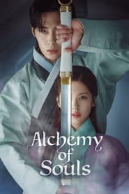 Alchemy of Souls (2022) subtitles - SUBDL poster