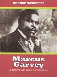 Marcus Garvey: A Giant of Black Politics (2008) subtitles - SUBDL poster