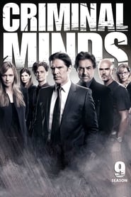 Criminal Minds Hebrew  subtitles - SUBDL poster