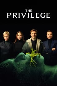 The Privilege Arabic  subtitles - SUBDL poster