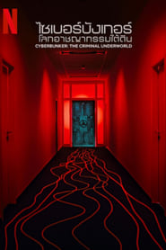 Cyberbunker: The Criminal Underworld