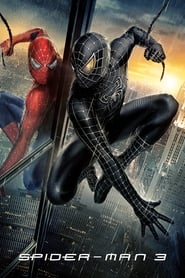 Spider-Man 3 (Spiderman 3)