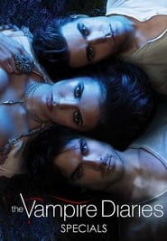 The Vampire Diaries Arabic  subtitles - SUBDL poster