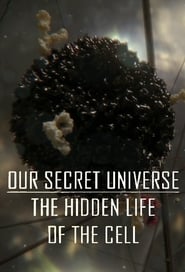 BBC Our Secret Universe: The Hidden Life of the Cell (2012) subtitles