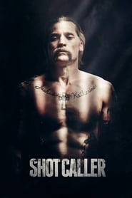 Shot Caller (2017) subtitles