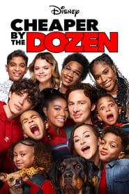Cheaper by the Dozen (2022) subtitles - SUBDL poster