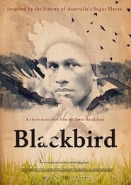 Blackbird (2016) subtitles - SUBDL poster