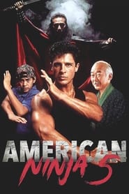 American Ninja 5 (V) AKA American Dragons