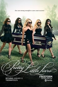 Pretty Little Liars French  subtitles - SUBDL poster