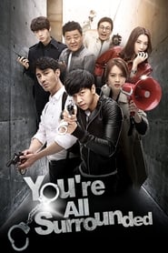 You Are All Surrounded (2014) subtitles - SUBDL poster