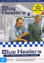 Blue Heelers