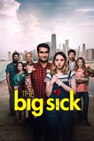 The Big Sick English  subtitles - SUBDL poster