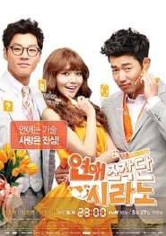 Dating Agency: Cyrano Indonesian  subtitles - SUBDL poster
