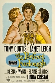 The Perfect Furlough Danish  subtitles - SUBDL poster