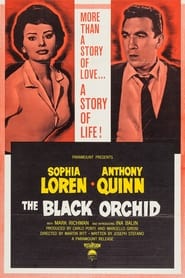 The Black Orchid Arabic  subtitles - SUBDL poster