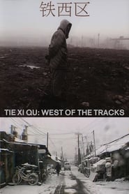 Tie Xi Qu: West of the Tracks