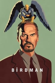 Birdman Hebrew  subtitles - SUBDL poster