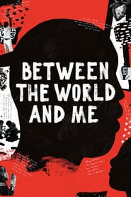 Between the World and Me English  subtitles - SUBDL poster
