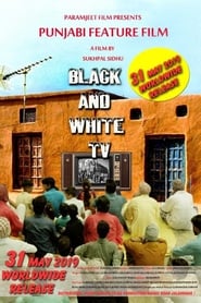 BLACK AND WHITE TV (2019) subtitles - SUBDL poster