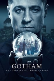 Gotham Spanish  subtitles - SUBDL poster