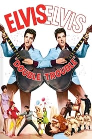 Double Trouble (1967) subtitles