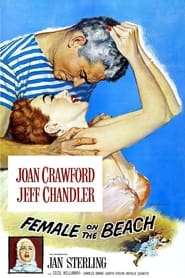 Female on the Beach English  subtitles - SUBDL poster