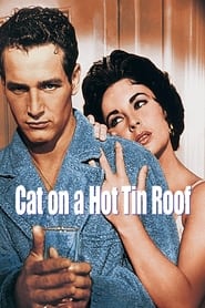 Cat on a Hot Tin Roof Hebrew  subtitles - SUBDL poster