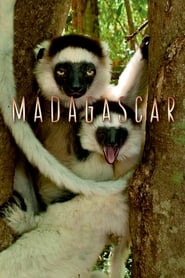 Madagascar (2011) subtitles