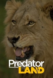 Predator Land (2019) subtitles - SUBDL poster