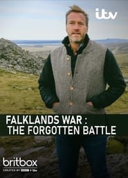 Falklands War: The Forgotten Battle (2022) subtitles - SUBDL poster