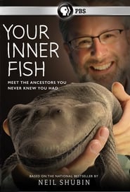 Your Inner Fish