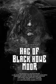 Hag of Black Howe Moor (2020) subtitles - SUBDL poster