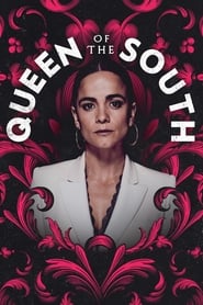 Queen of the South English  subtitles - SUBDL poster